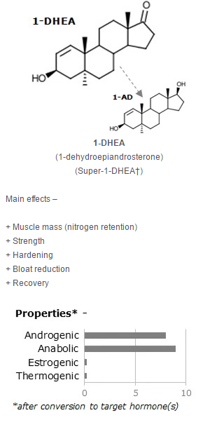 1-DHEA