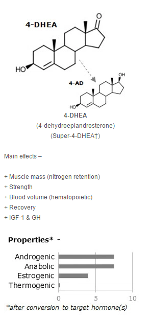 4-DHEA